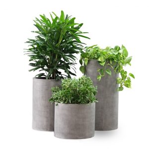 Chậu xi măng đá mài trụ tròn 30cm