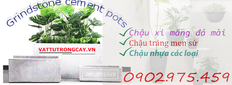 Vật Tư Trồng Cây