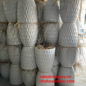 chậu sứ tráng men hình bom tổ ong