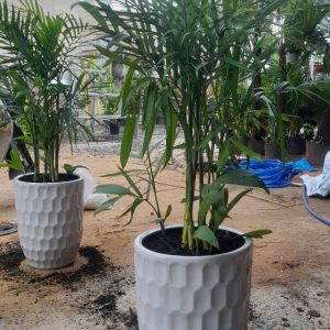 chậu sứ tráng men hình bom tổ ong