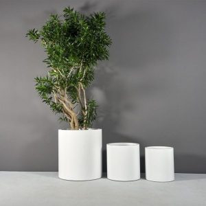 chậu xi măng đá mài màu trắng