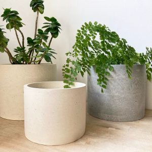 Chậu trồng cây xi măng đá mài hình tròn 60cm