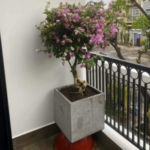 Chậu trồng cây đá mài vuông 40x40cm