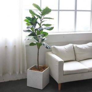 Chậu Xi Măng Đá Mài Hình Vuông 37cm