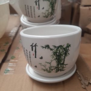 chậu trồng cây để bàn