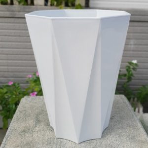 Chậu nhựa trắng bát giác trồng cây