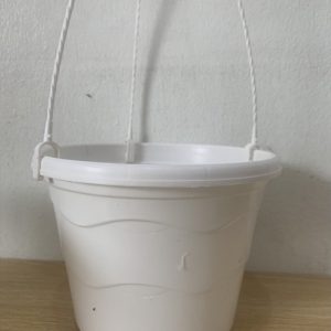 Chậu nhựa treo trồng cây