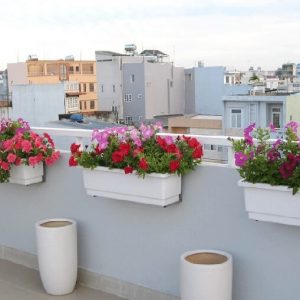 Khay nhựa hình chữ nhật trồng cây