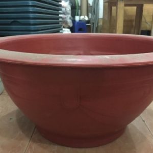 Mẫu chậu nhựa trồng cây truyền thống