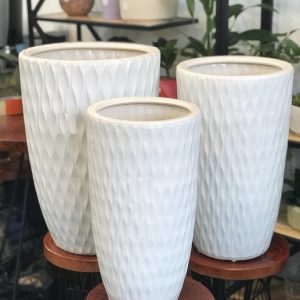 chau su hinh bom van luoi