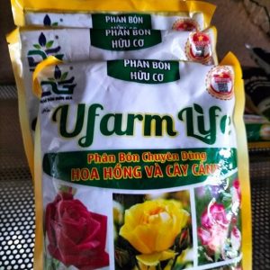 Phân bón chuyên dùng cho cây hoa hồng