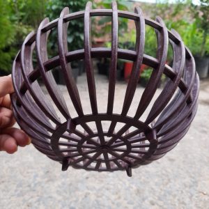 Chau nhua gia go trong lan hinh bi phi 23cm