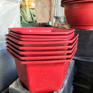 Chậu nhựa lục giác trồng cây