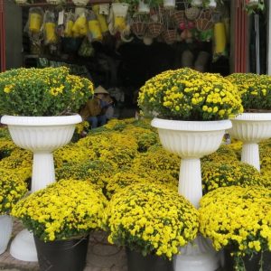 Chậu ly nhựa chân đế cao