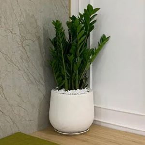 Chậu đá xi măng đá mài hình bầu đáy