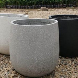 chau-mang-da-mai-hình-tròn-bau-day