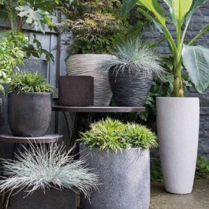 chậu trồng cây xi măng đá mài hình giọt nước