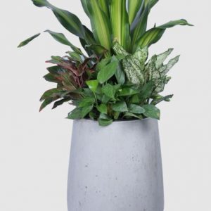 chậu trồng cây xi măng đá mài hình giọt nước