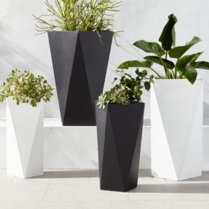 Chau trong cay xi mang da mai bat giac