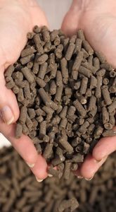 Phân gà hữu cơ có công dụng gì