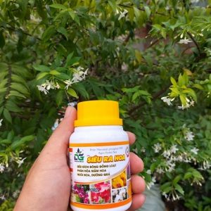 Phân bón siêu ra hoa