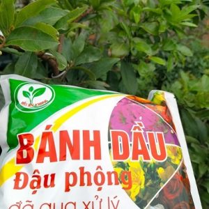 Bánh dầu đậu phộng