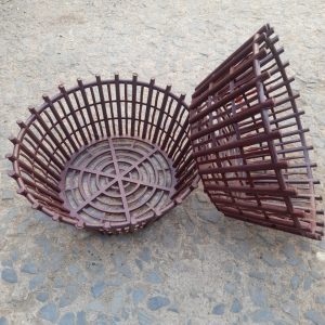 Chau nhua gia go trong lan phi 30cm