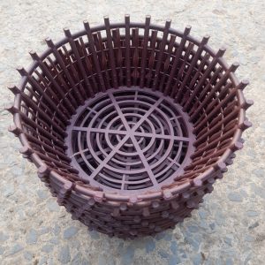 chậu nhựa giả gỗ trồng lan phi 30cm