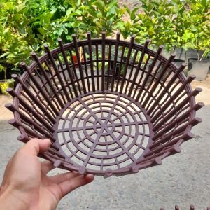chau nhua trong lan phi 35cm