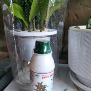 Phân bón cho cây trồng thủy sinh