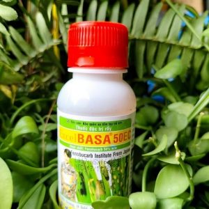 Thuốc đặc trị rầy