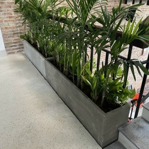 Chậu xi măng đá mài hình chữ nhật