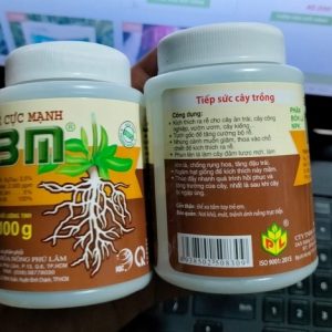 Phân kích rễ cực mạnh