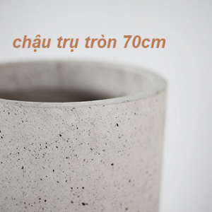 Chậu trụ tròn xi măng đá mài 70cm