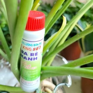 Phân bón siêu kích rễ