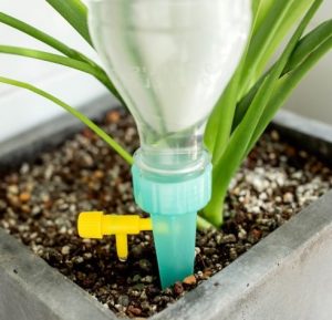 Đầu tưới nước cho cây nhỏ giọt