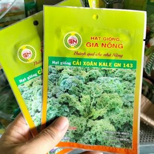 hạt giống rau cải xoăn kale