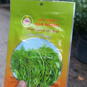 hạt giống rau tần ô