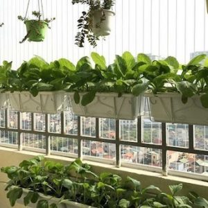 Khung sắt treo chậu nhựa trồng cây hình chữ nhật