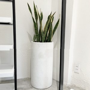 Chậu xi măng đá mài hình trụ cao 50cm