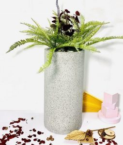 Chọn chậu trồng cây