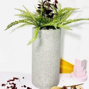 Chọn chậu trồng cây