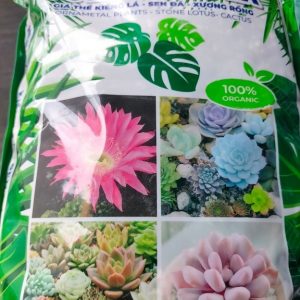 Giá thể trồng cây sen đá - xương rồng