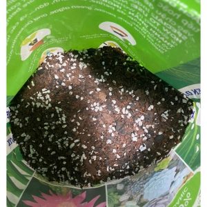 Giá thể trồng cây sen đá - xương rồng