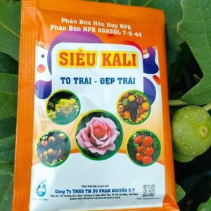 phân bón siêu kali to trái đẹp trái