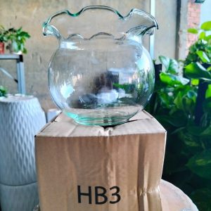 Chậu thủy tinh trồng cây thủy sinh