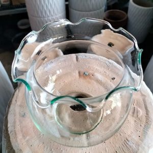 Chậu thủy tinh trồng cây thủy sinh