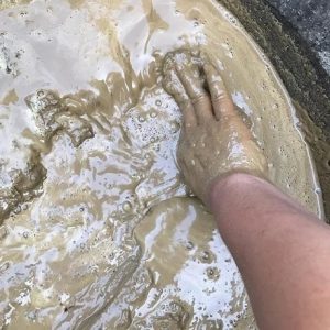 Bùn trồng các loại cây sen súng và cây ngập nước