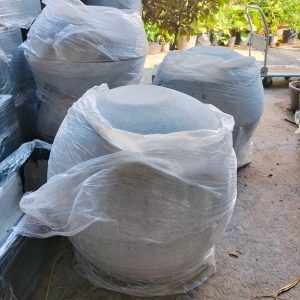 Chậu trồng hoa sen hoa súng