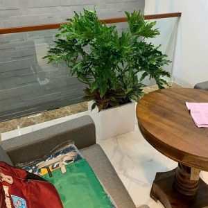 Chậu xi măng đá mài hình vuông màu trắng đường kính 40cm